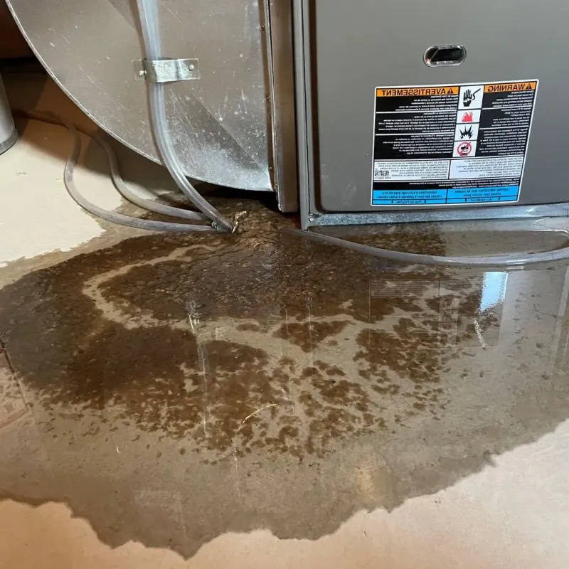 Pipe Burst and Leak Restoration in Terre Haute, IN