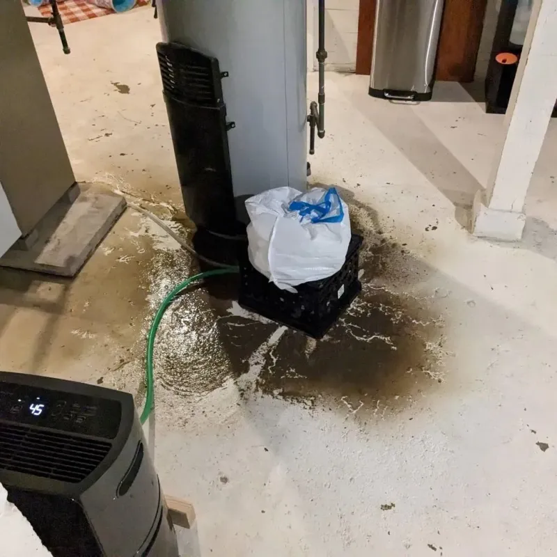 Sewage Backup Cleanup Service in Terre Haute, IN